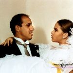 Укрощение строптивого (Il Bisbetico domato)