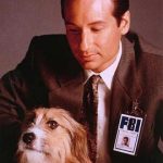 Сериалофобия Дэвида Духовны