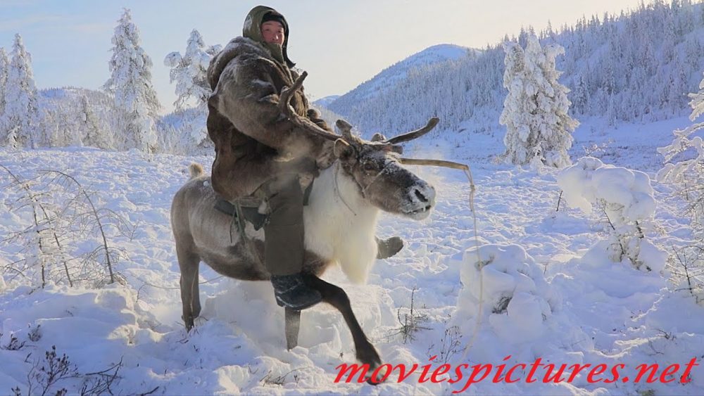 Великий северный путь (2019)