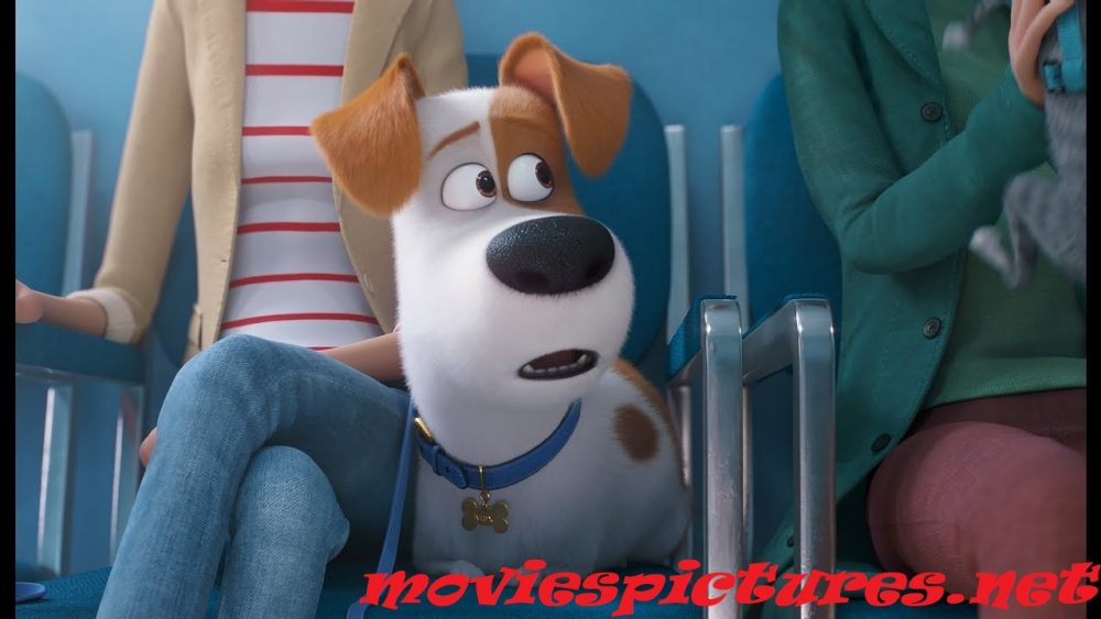 Тайная жизнь домашних животных 2 (2019)
