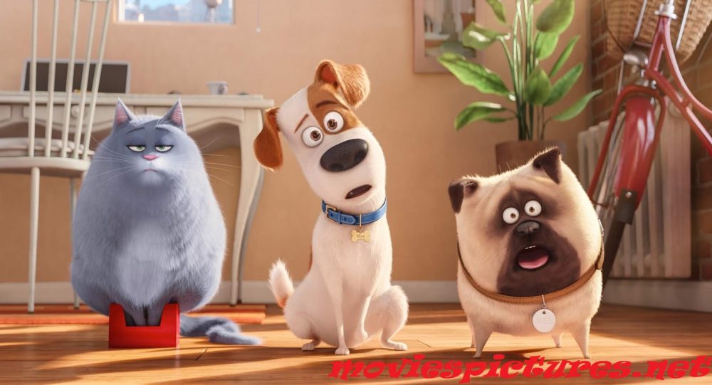 Тайная жизнь домашних животных 2 (2019)