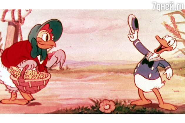 Дональду Даку — 86 лет! 7 интересных фактов о знаменитом герое Disney