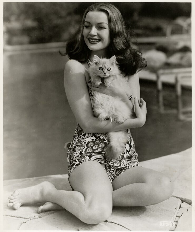 
 Актриса Хэйзел Брукс — Actress Hazel Brooks 
 (19 фото) 
 