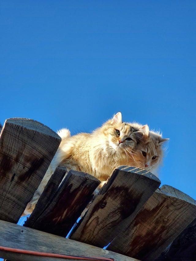 
 15 реальных фотографий, которые способны одурачить ваше зрение 
 (16 фото) 
 