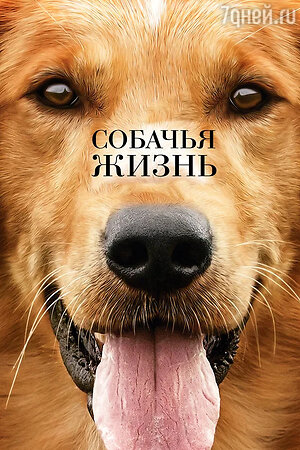 ТОП-11 самых грустных фильмов