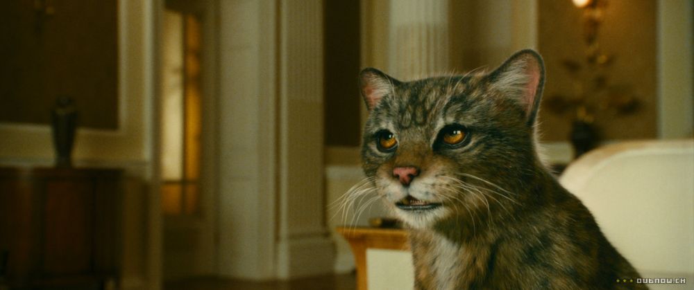 Золотой компас (2007)