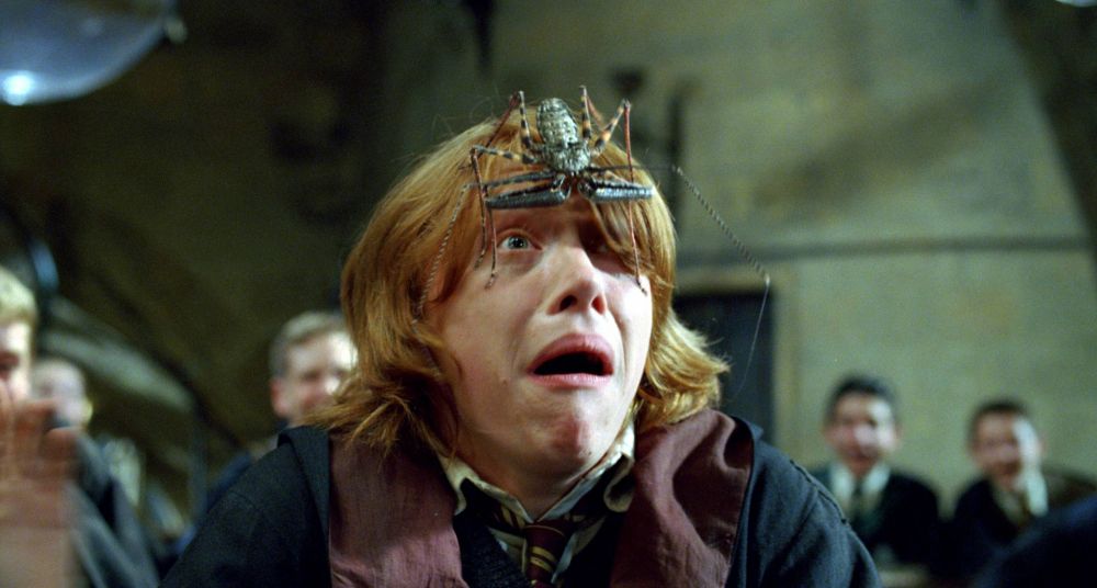 Гарри Поттер и Кубок огня (2005)
