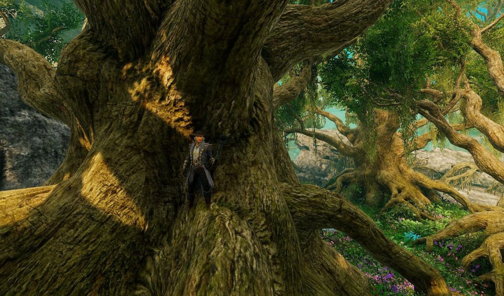 Медведи и дриады: авторы New World показали регион Edengrove