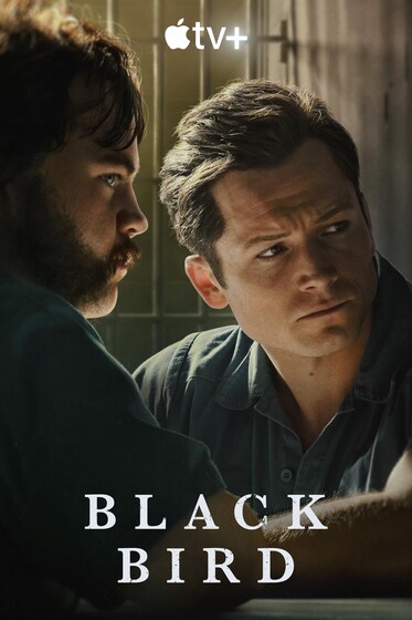 Новые сериалы недели: Тэрон Эджертон и Рэй Лиотта в криминальной драме «Чёрная птица»