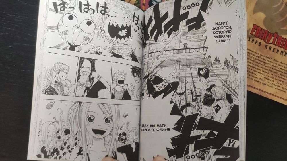Манга глазами анимешника: обзор томов 1–6 Fairy Tail от XL Media