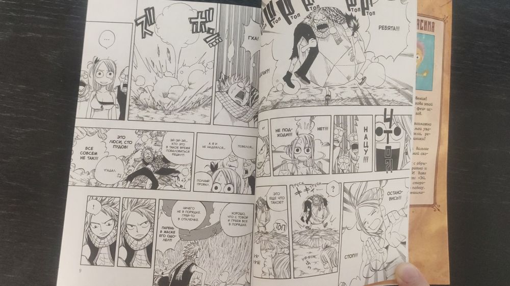 Манга глазами анимешника: обзор томов 1–6 Fairy Tail от XL Media