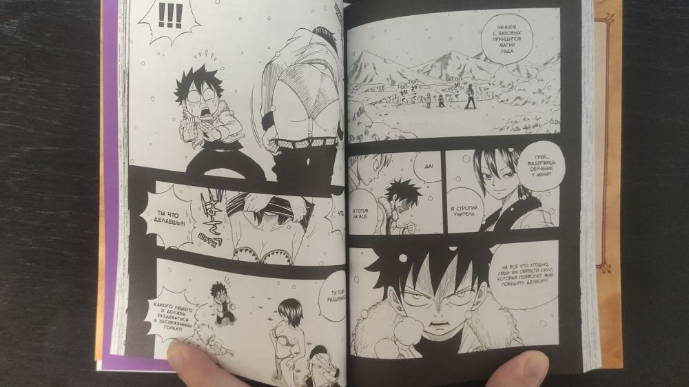 Манга глазами анимешника: обзор томов 1–6 Fairy Tail от XL Media