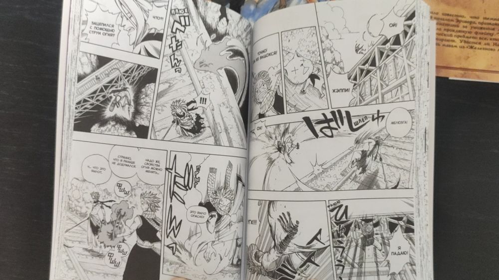 Манга глазами анимешника: обзор томов 1–6 Fairy Tail от XL Media