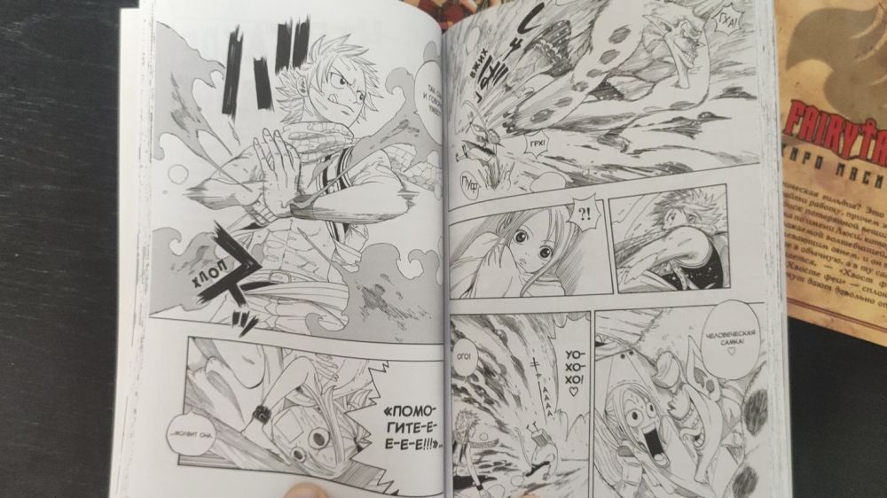 Манга глазами анимешника: обзор томов 1–6 Fairy Tail от XL Media