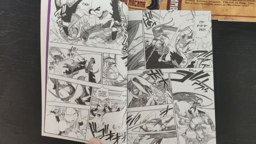 Манга глазами анимешника: обзор томов 1–6 Fairy Tail от XL Media