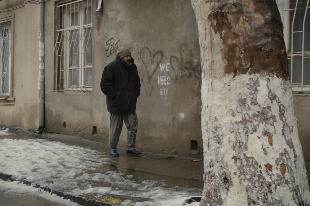 «Носферату», «Плохая девочка», «Соник 3 в кино», «Мегалополис» и еще 11 фильмов января 